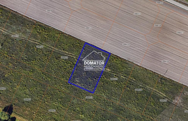 Działka budowlana, 1005 m2, Maksymilianowo