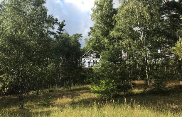 Na sprzedaż atrakcyjna działka w otulinie lasu, w Borach Tucholskich.  
 
Polecam pięknie położoną działkę w miejscowości Legbą