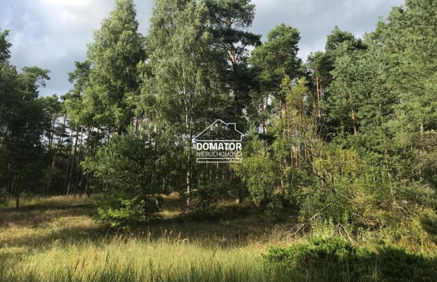 Na sprzedaż atrakcyjna działka w otulinie lasu, w Borach Tucholskich.  
 
Polecam pięknie położoną działkę w miejscowości Legbą