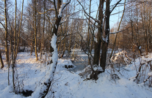 Działka nad Zalewem Koronowskim - Nowy Jasiniec