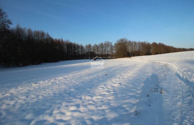 Działka nad Zalewem Koronowskim - Nowy Jasiniec