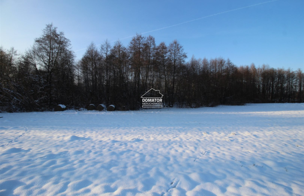 Działka nad Zalewem Koronowskim - Nowy Jasiniec