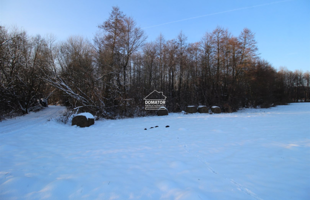 Działka nad Zalewem Koronowskim - Nowy Jasiniec