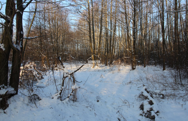 Działka nad Zalewem Koronowskim - Nowy Jasiniec