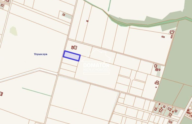 Działka 3054 m2 Tryszczyn