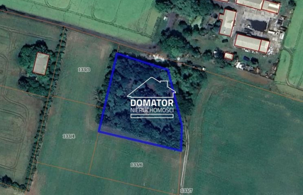 Działka 4287 m2, Tryszczyn  
 
Polecam działkę o powierzchni 4287 m2 położoną w miejscowości Tryszczyn, 
gmina Koronowo oznaczo