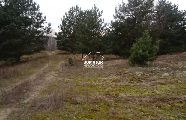 Działki budowlane Koronowo/Pieczyska