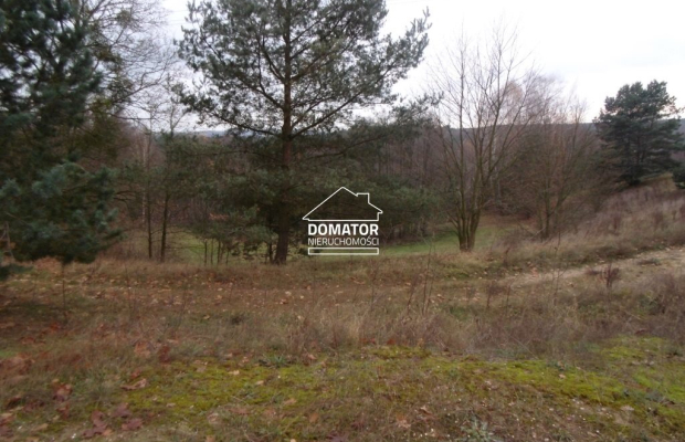 Działki budowlane Koronowo/Pieczyska