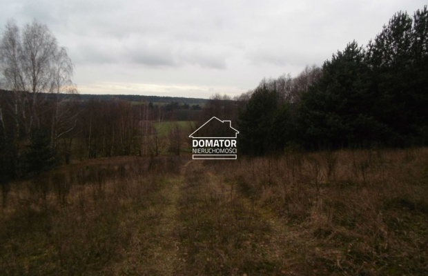 Działki budowlane Koronowo/Pieczyska