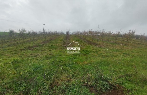 Malownicza działka 1500 m2, Tryszczyn