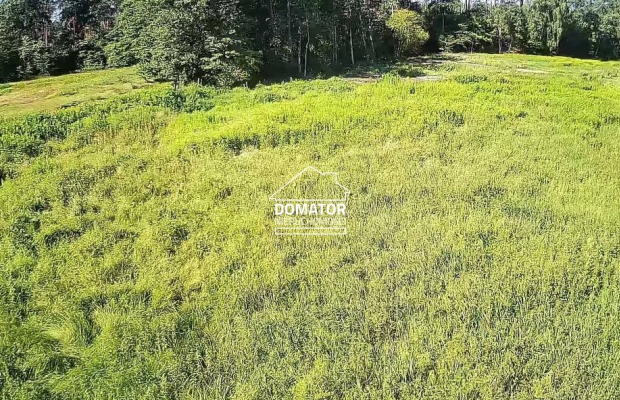 Sprzedam podmiejskie działki budowlane w lesie - zabudowa jednorodzinna, usługi, drobna wytwórczość - Gmina Solec Kujawski     