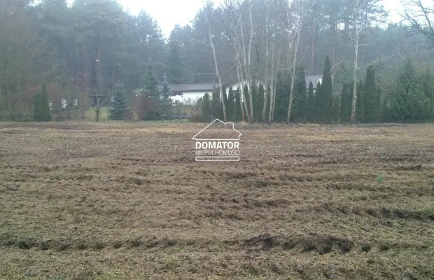 Sprzedam podmiejskie działki budowlane w lesie - zabudowa jednorodzinna, usługi, drobna wytwórczość - Gmina Solec Kujawski     