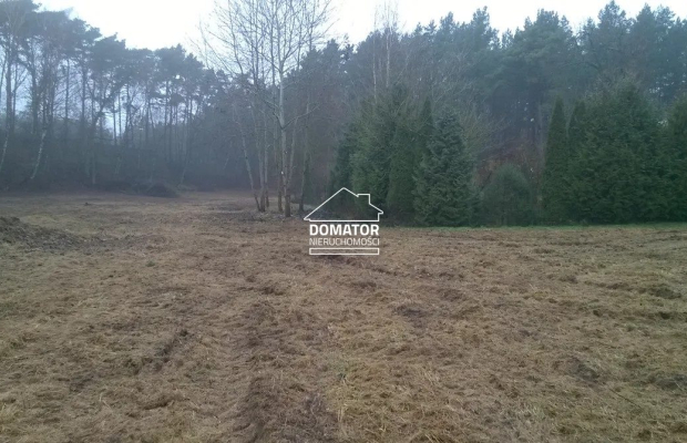 Sprzedam podmiejskie działki budowlane w lesie - zabudowa jednorodzinna, usługi, drobna wytwórczość - Gmina Solec Kujawski     