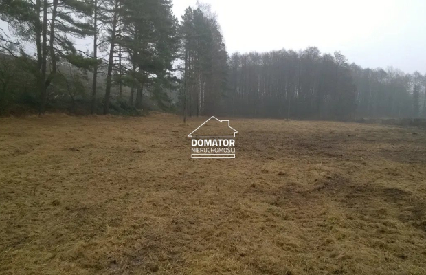 Sprzedam podmiejskie działki budowlane w lesie - zabudowa jednorodzinna, usługi, drobna wytwórczość - Gmina Solec Kujawski     