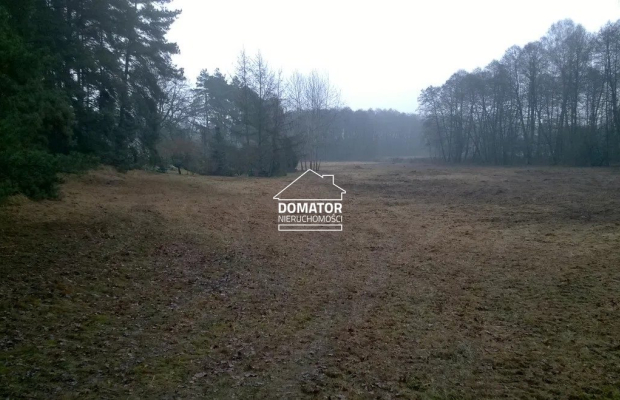 Sprzedam podmiejskie działki budowlane w lesie - zabudowa jednorodzinna, usługi, drobna wytwórczość - Gmina Solec Kujawski     