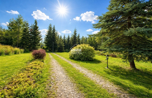 Ostatnie działeczki  Gzin /Dąbrowa Chełmińska