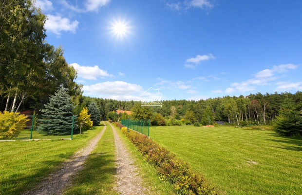 Ostatnie działeczki  Gzin /Dąbrowa Chełmińska