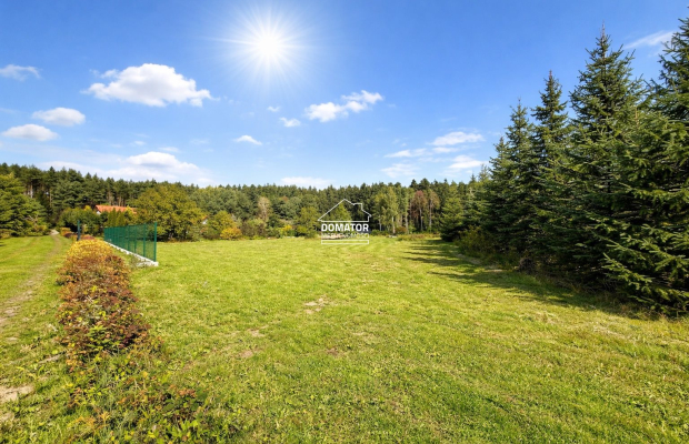 Ostatnie działeczki  Gzin /Dąbrowa Chełmińska