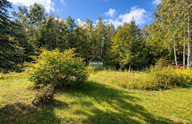 Ostatnie działeczki  Gzin /Dąbrowa Chełmińska