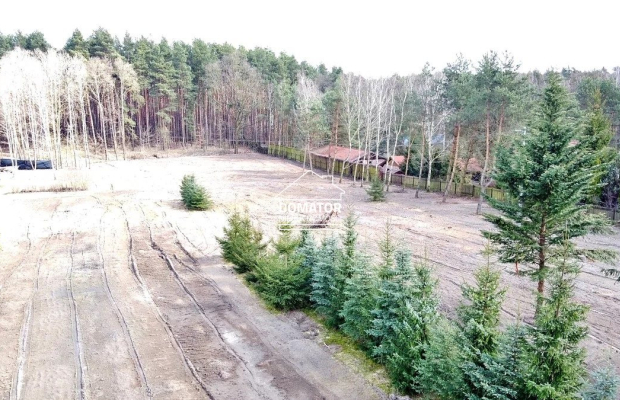 Ostatnie działeczki  Gzin /Dąbrowa Chełmińska