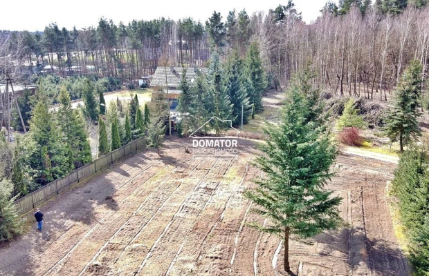 Ostatnie działeczki  Gzin /Dąbrowa Chełmińska