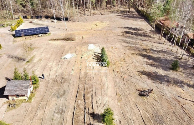 Ostatnie działeczki  Gzin /Dąbrowa Chełmińska