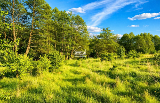 Działka budowlana 7600 m² nad rzeką Brdą.