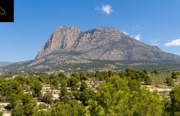 CUDOWNE WILLE W MIEJSCOWOŚCI FINESTRAT