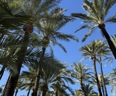 NOWA INWESTYCJA W SAMYM CENTRUM W SANTA POLA