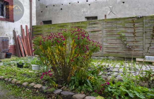 Bezczynszowe 3 pokoje z ogródkiem