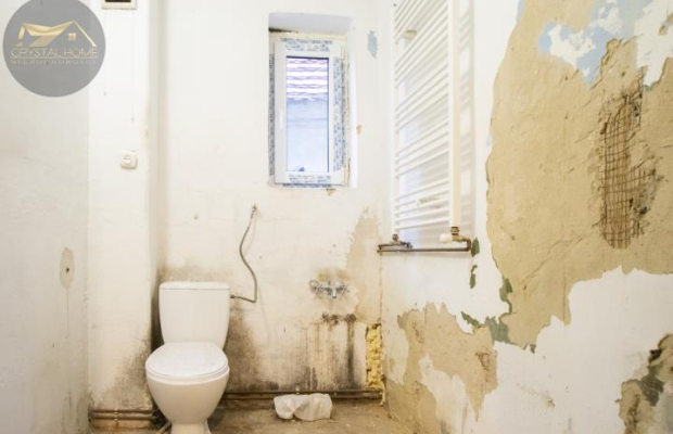 Bezczynszowe 3 pokoje z ogródkiem