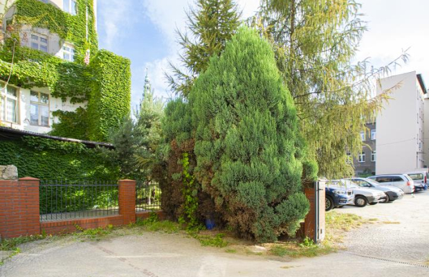 Kamienica w Centrum na sprzedaż