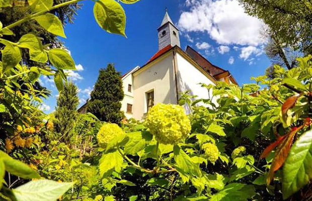 Zamek Świdnicki - zespół poklasztorny na sprzedaż