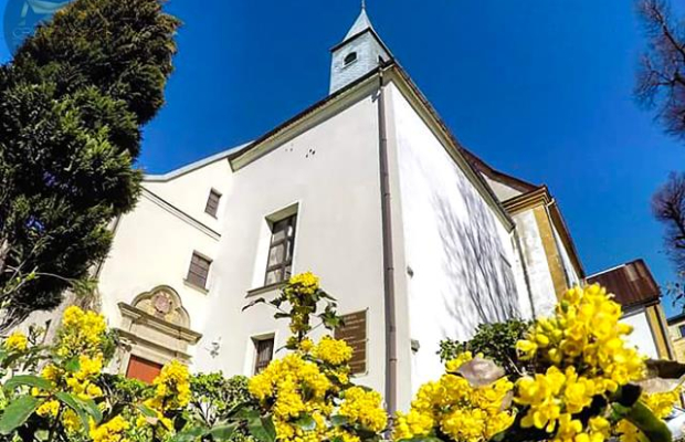 Zamek Świdnicki - zespół poklasztorny na sprzedaż