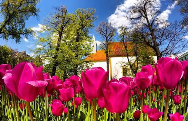 Zamek Świdnicki - zespół poklasztorny na sprzedaż