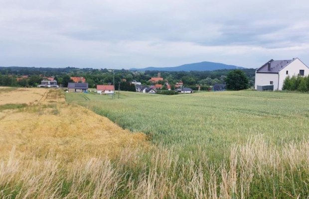 Wierzbna / Działki z widokiem na Ślęże