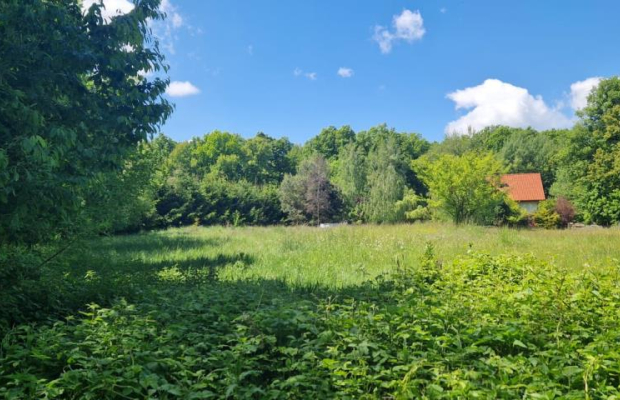 Działka 0,98 Ha możliwość zabudowy