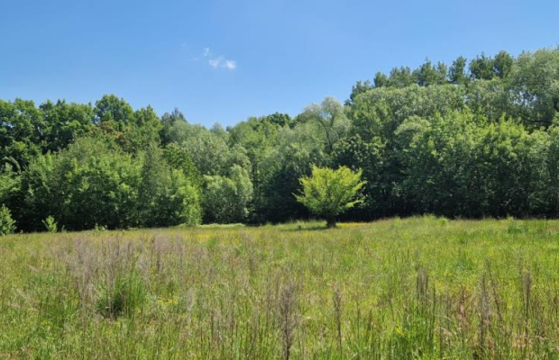 Działka 0,98 Ha możliwość zabudowy