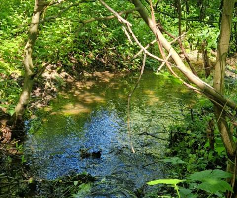 Działka 0,98 Ha możliwość zabudowy