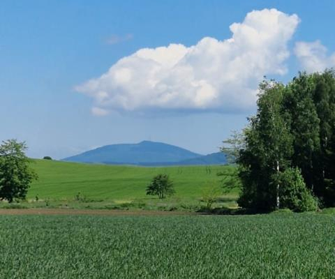 Działka 0,98 Ha możliwość zabudowy