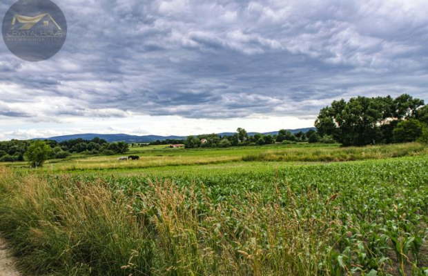 DZIAŁKA BUDOWLANA W GRODZISZCZU/ WIDOK NA GÓRY