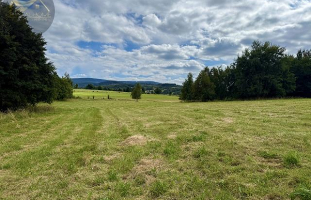 Działka 4090 m² z warunkami zabudowy – Boreczna