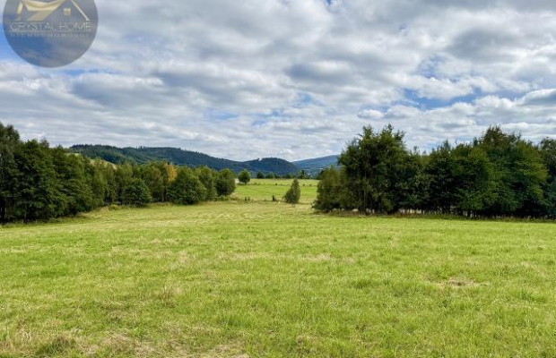 Działka 4090 m² z warunkami zabudowy – Boreczna