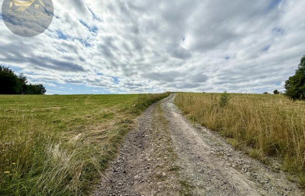 Działka 4090 m² z warunkami zabudowy – Boreczna