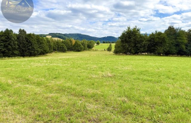 Działka 4090 m² z warunkami zabudowy – Boreczna