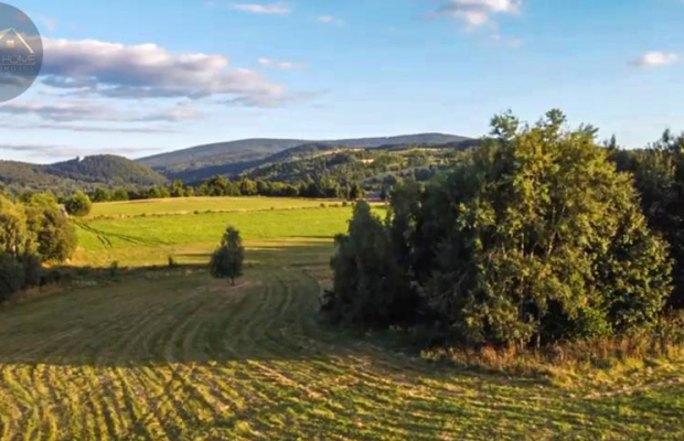 Działka 4090 m² z warunkami zabudowy – Boreczna