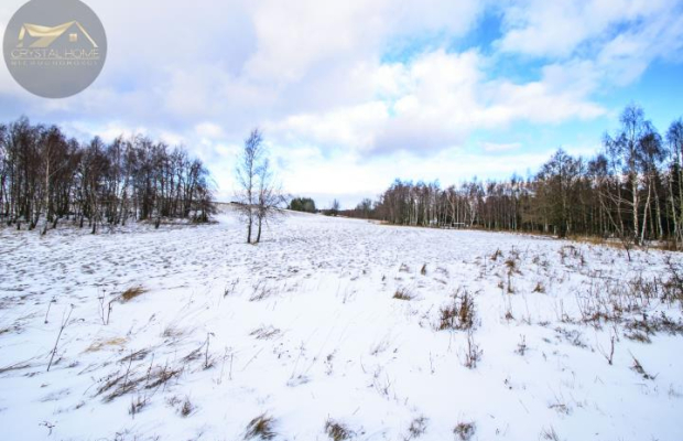 Malowniczo położone działki rekreacyjne/Michałkowa