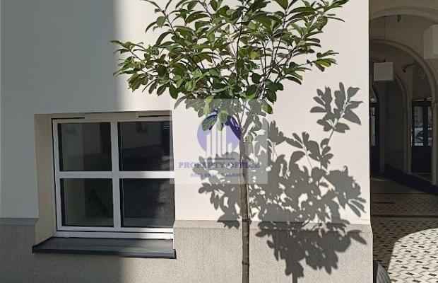 Śródmieście : lokal biurowo-mieszkalny na wynajem