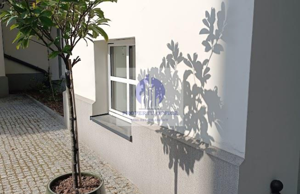 Śródmieście : lokal biurowo-mieszkalny na wynajem