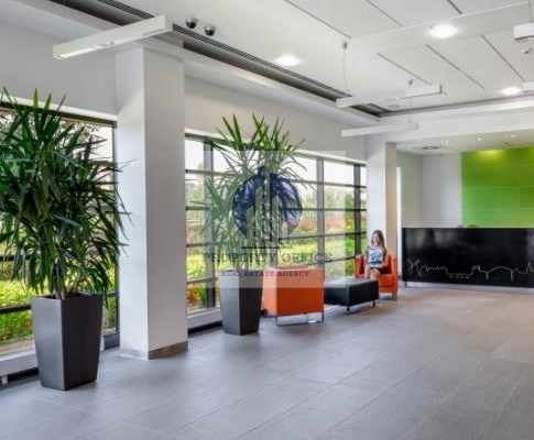 Ursynów : lokal biurowy na w ynajem